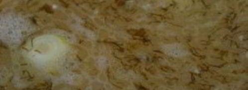 гороховая каша с мясом. Шаг 3