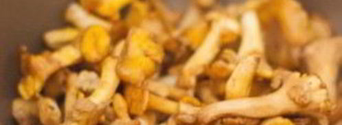 гречка с лисичками в мультиварке. Шаг 2