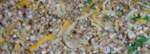 каша гречневая с луком. Шаг 4