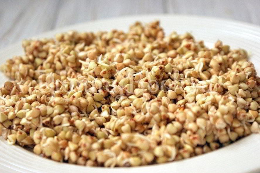 Рецепт пророщенная гречка