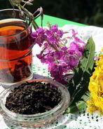 Иван чай зверобой