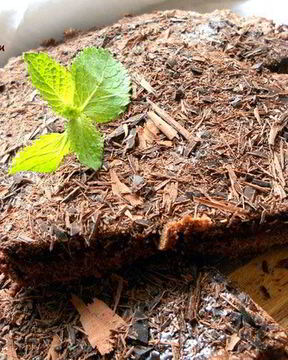 Шоколадный тарт