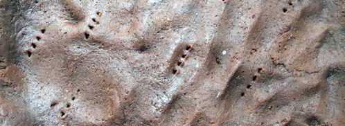 шоколадный тарт. Шаг 4