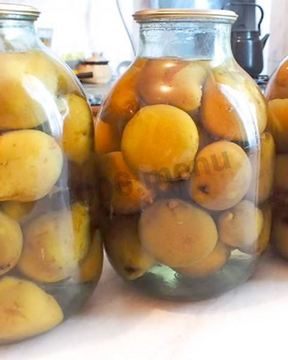 Груши консервированные целиком в сиропе на зиму