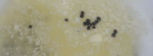 имбирный эль. Шаг 2