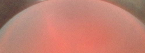 кисель из ревеня. Шаг 3