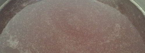 кисель из ревеня. Шаг 5