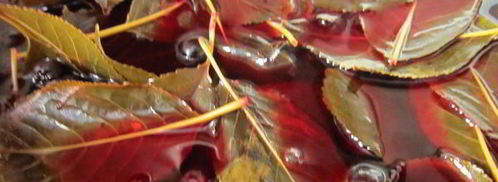 ликер вишневый. Шаг 2