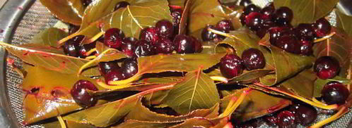 ликер вишневый. Шаг 3