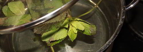 лимонный напиток с мятой. Шаг 2