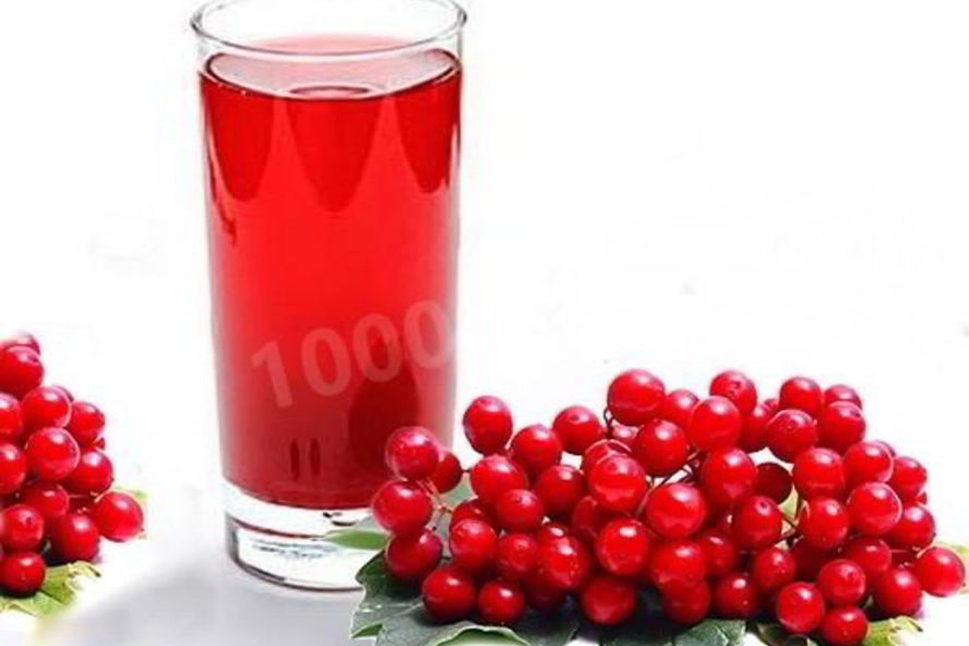 Рецепт морс из калины