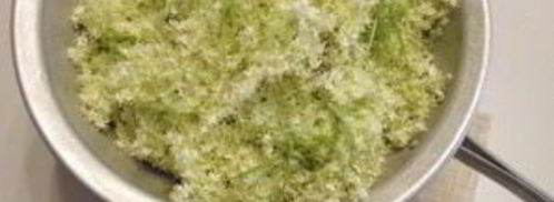 сироп из бузины. Шаг 2