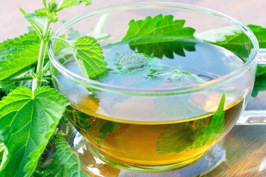 Рецепт сироп из крапивы