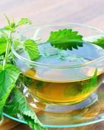 Сироп из крапивы