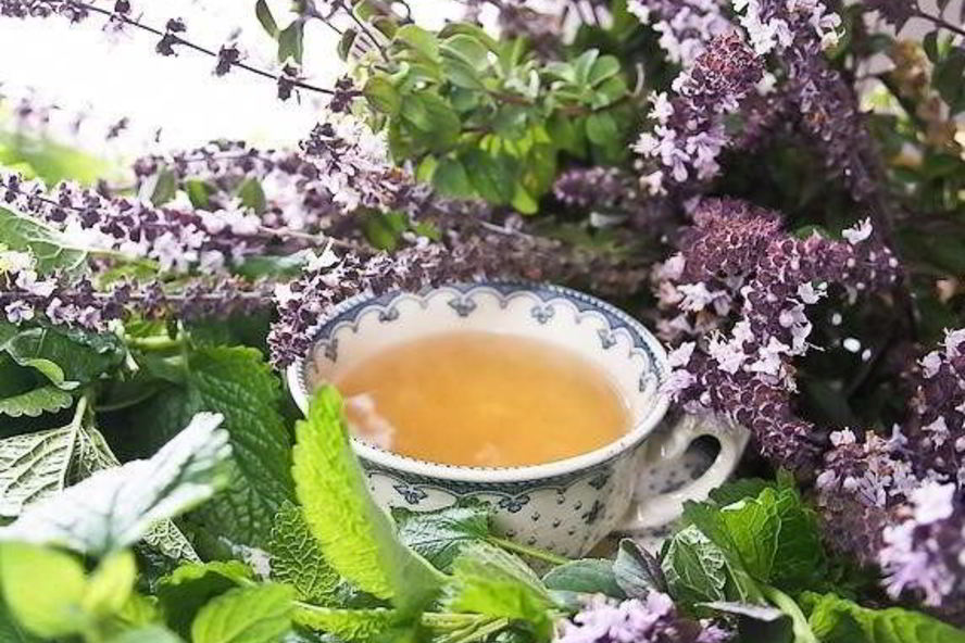 Рецепт сироп шалфея