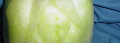 смузи магический цветок. Шаг 10