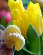 Смузи с бананом и малиной