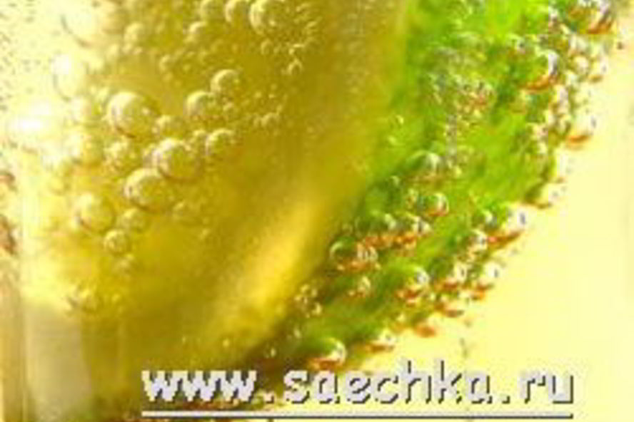 Рецепт царское пиво