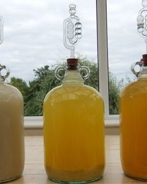 Вино из дыни