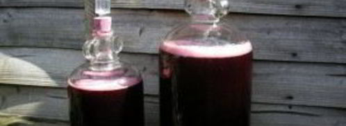 вино из ежевики. Шаг 3