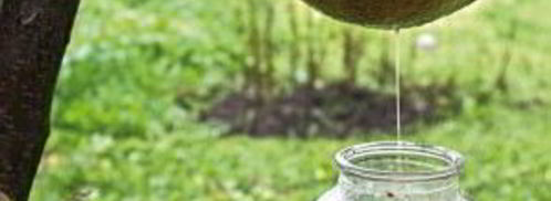 вино из яблок без дрожжей. Шаг 3