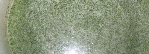 зеленый мятный сироп. Шаг 4