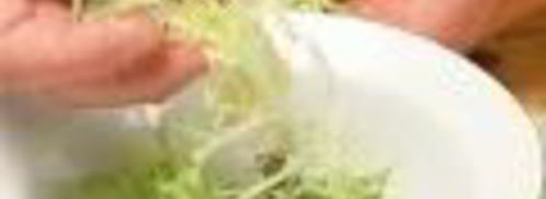 салат из креветок с дыней и авокадо. Шаг 3