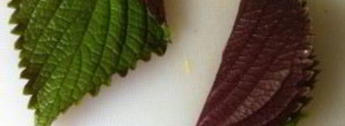 салат из манго и креветок. Шаг 3