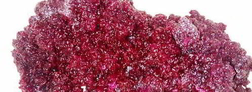 селедка под шубой в желе. Шаг 6