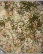 Салат с копченой горбушей и морским коктейлем