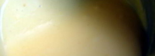 голландский соус к спарже, совет по варке спаржи. Шаг 4