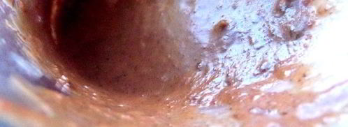 сливочный соус с черносливом. Шаг 13