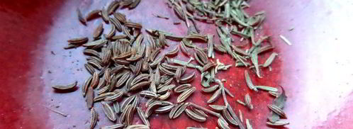 сливочный соус с черносливом. Шаг 8