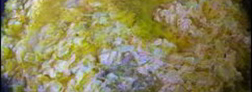 сметанный соус с морковкой и луком. Шаг 6