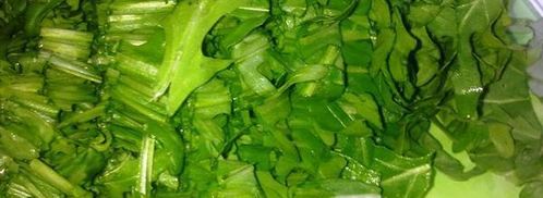 соус из базилика и рукколы. Шаг 2