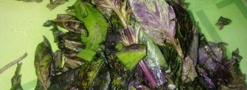 соус из базилика и рукколы. Шаг 3