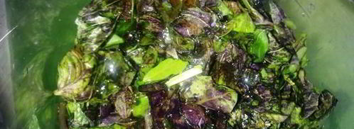 соус из базилика и рукколы. Шаг 4