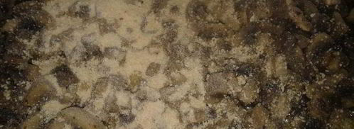 борщ грибной с ушками. Шаг 6