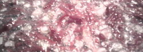 борщ в горшочках. Шаг 3