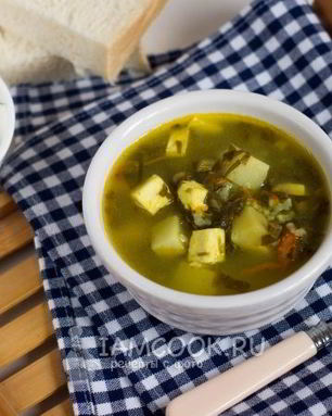 Зеленый борщ со щавелем и адыгейским сыром