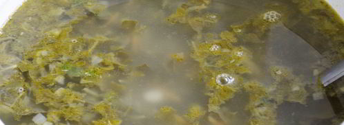 зеленый борщ со щавелем и крапивой. Шаг 18