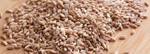 грибной суп с перловкой. Шаг 3