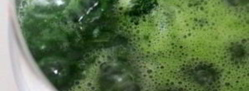 крем-суп из шпината. Шаг 4