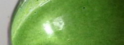 крем-суп из шпината. Шаг 6