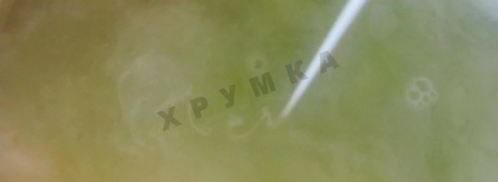 овощной крем суп со сливками. Шаг 8