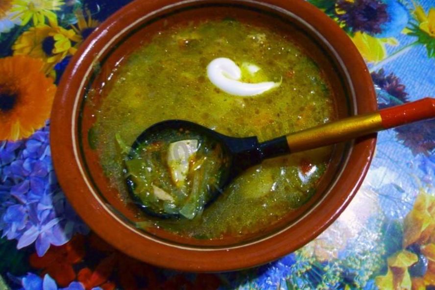 Рецепт щи из кислой квашеной капусты с грибами
