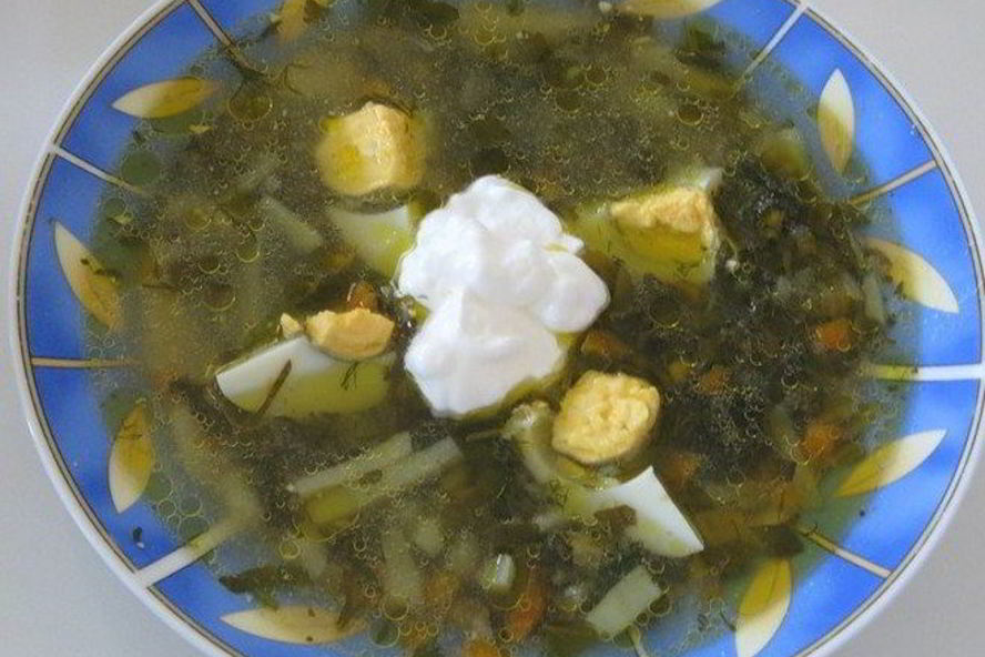 Рецепт щи из щавеля на курином бульоне