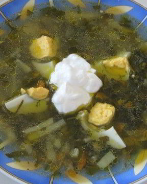 Щи из щавеля на курином бульоне