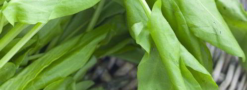 щи из щавеля. Шаг 3