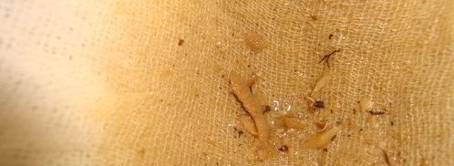 щи кислые грибные. Шаг 7